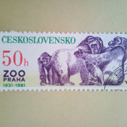 50 - летие  Пражского  зоопарка
